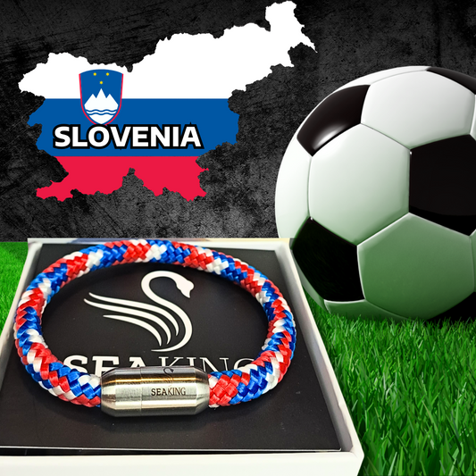 Slovenia 🏆